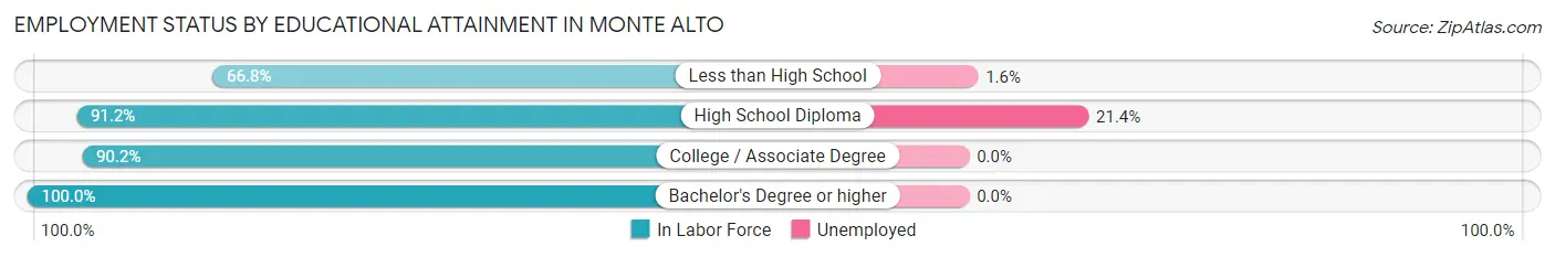 Employment Status by Educational Attainment in Monte Alto