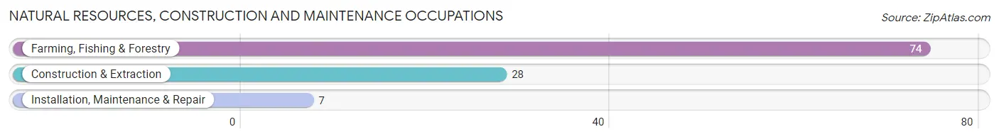 Natural Resources, Construction and Maintenance Occupations in Monte Alto