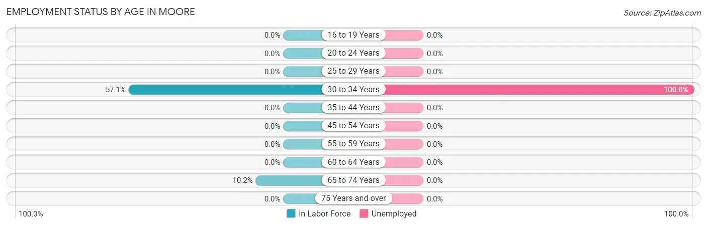 Employment Status by Age in Moore