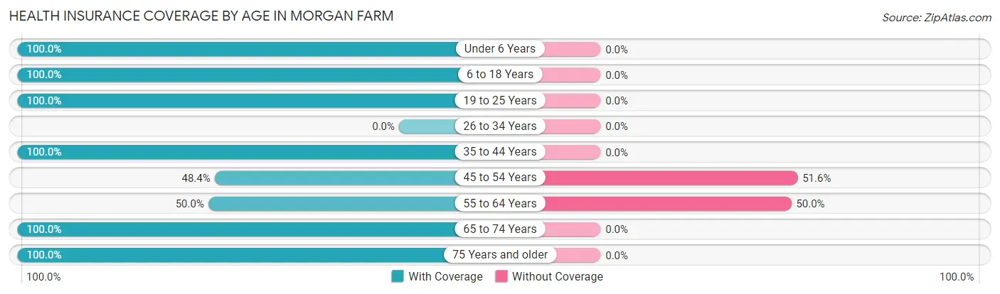 Health Insurance Coverage by Age in Morgan Farm