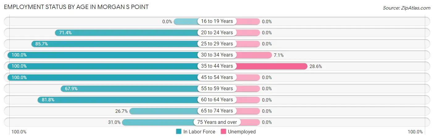 Employment Status by Age in Morgan s Point