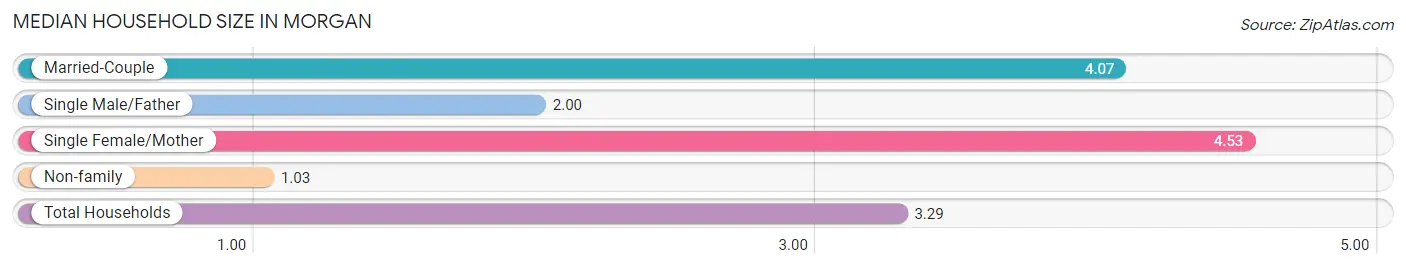 Median Household Size in Morgan