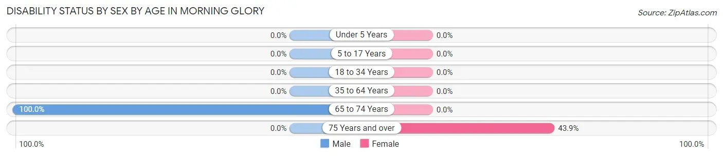 Disability Status by Sex by Age in Morning Glory
