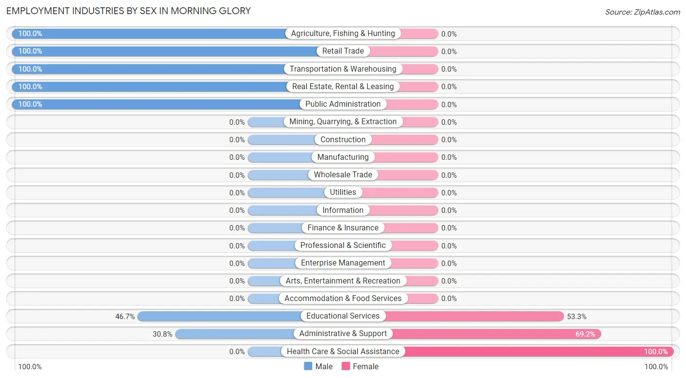 Employment Industries by Sex in Morning Glory