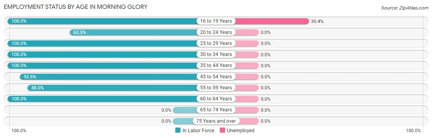 Employment Status by Age in Morning Glory