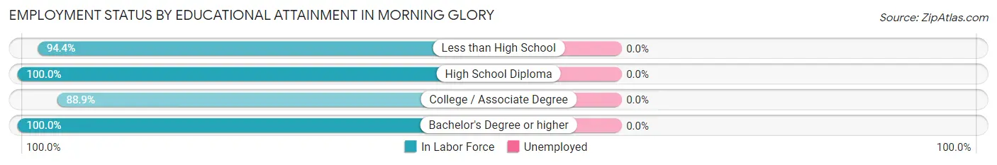 Employment Status by Educational Attainment in Morning Glory