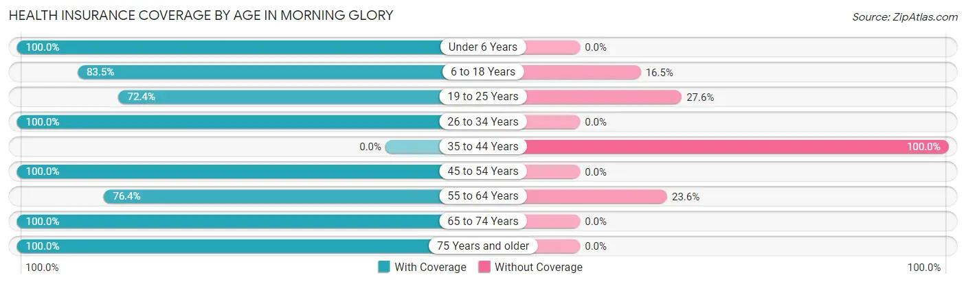 Health Insurance Coverage by Age in Morning Glory