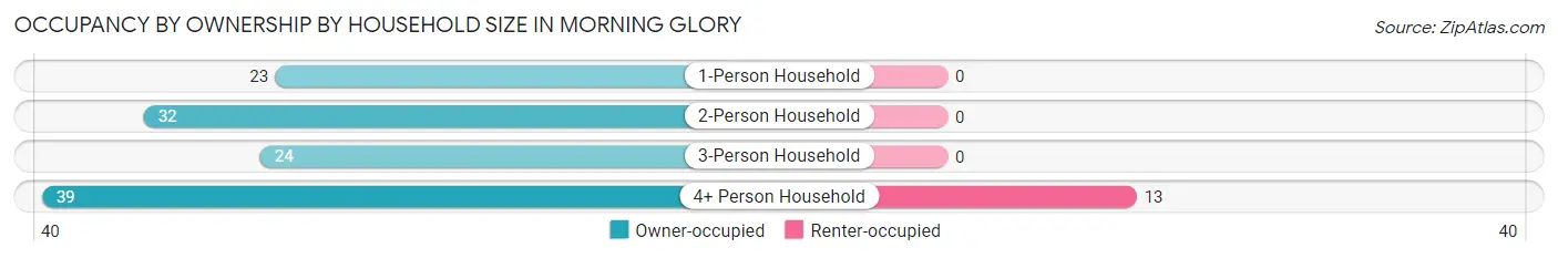 Occupancy by Ownership by Household Size in Morning Glory