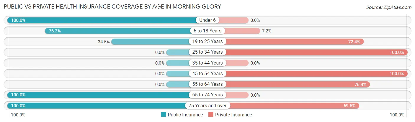 Public vs Private Health Insurance Coverage by Age in Morning Glory