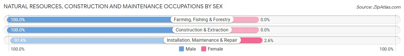 Natural Resources, Construction and Maintenance Occupations by Sex in Muenster