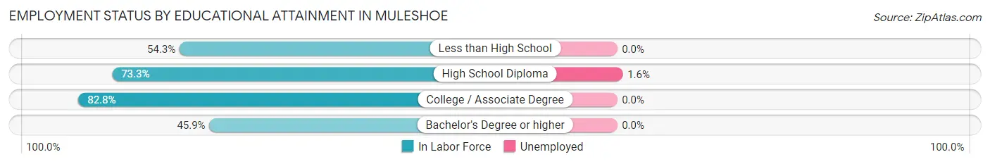 Employment Status by Educational Attainment in Muleshoe