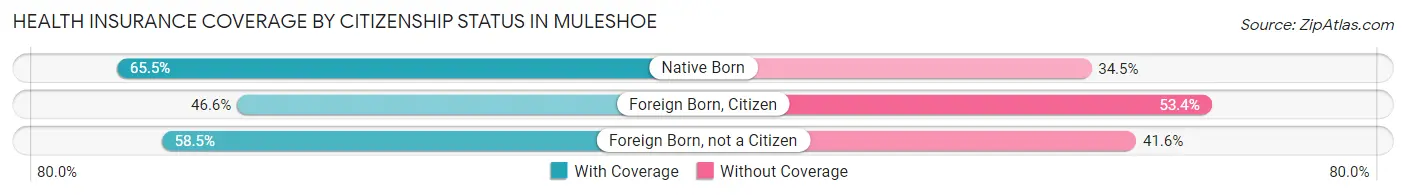 Health Insurance Coverage by Citizenship Status in Muleshoe