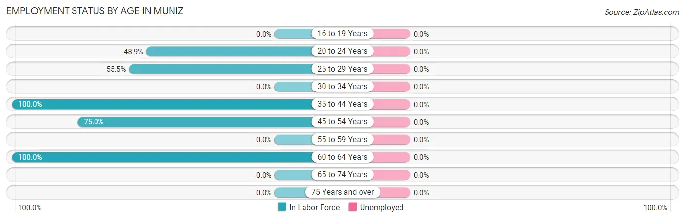 Employment Status by Age in Muniz