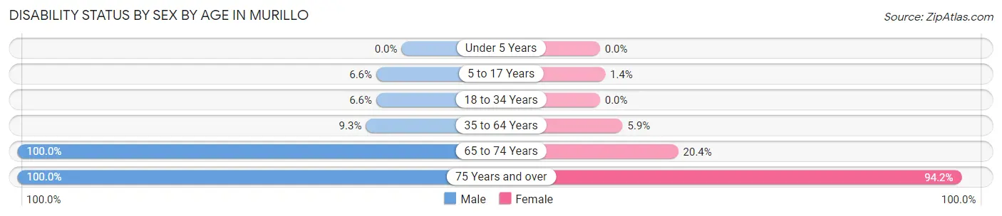 Disability Status by Sex by Age in Murillo