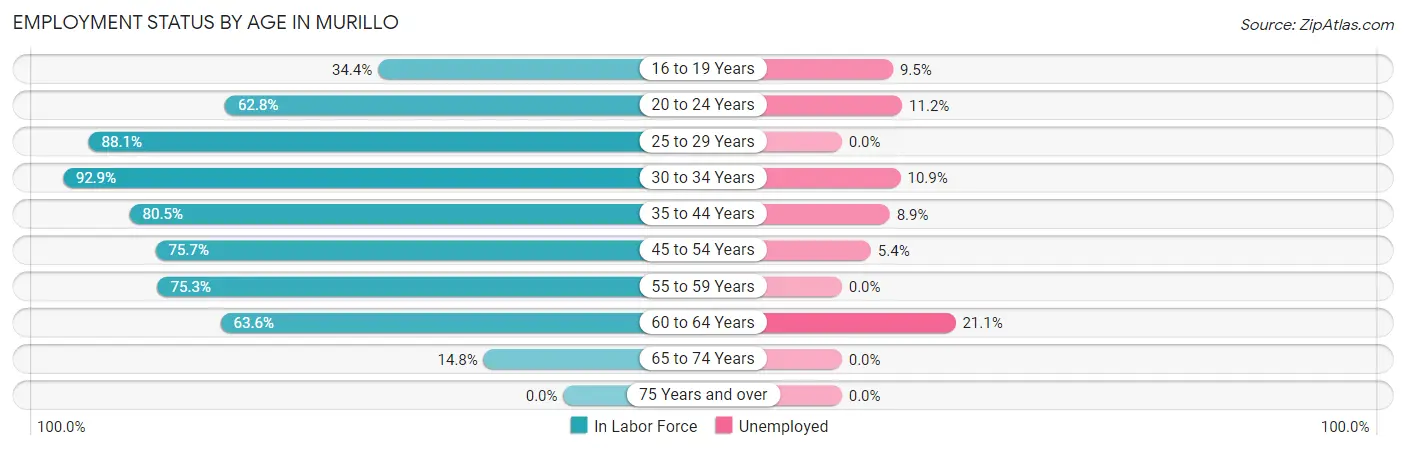 Employment Status by Age in Murillo