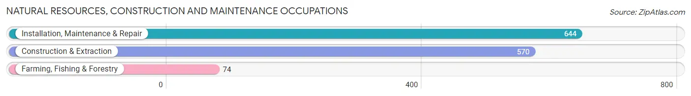 Natural Resources, Construction and Maintenance Occupations in Nacogdoches