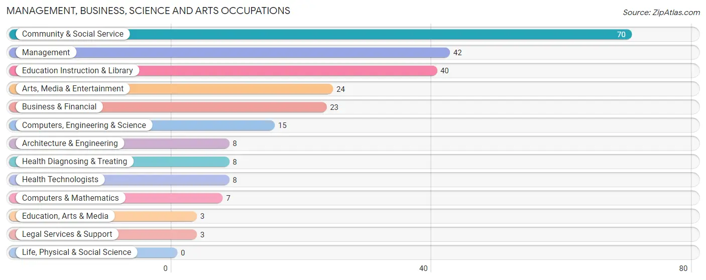 Management, Business, Science and Arts Occupations in New Berlin