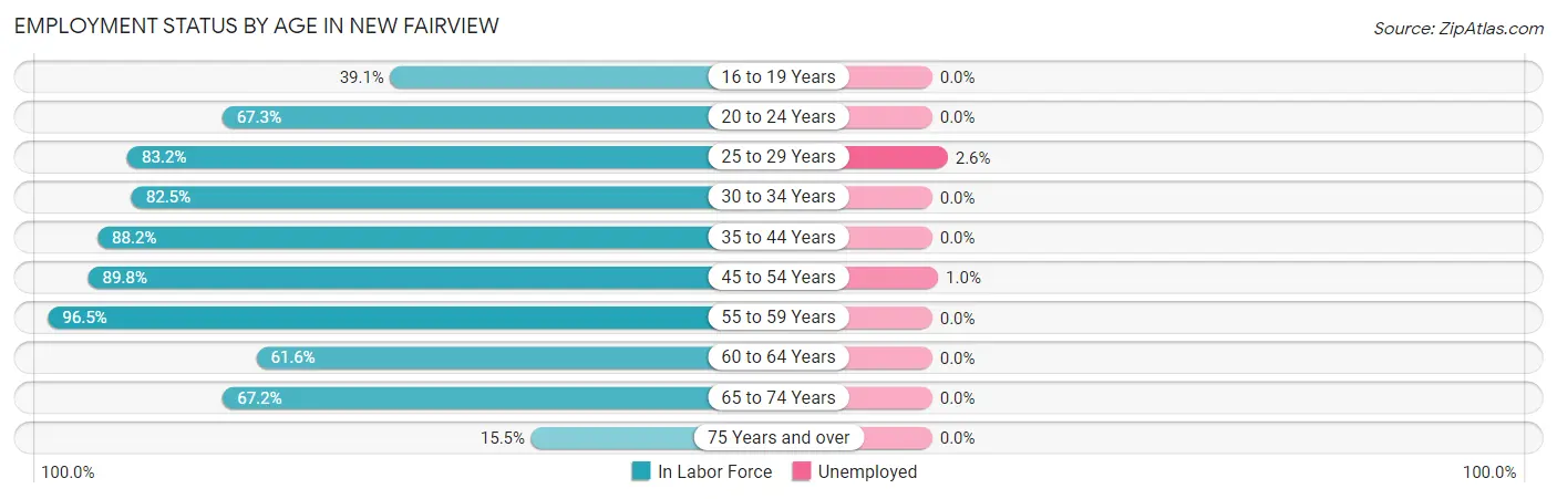 Employment Status by Age in New Fairview