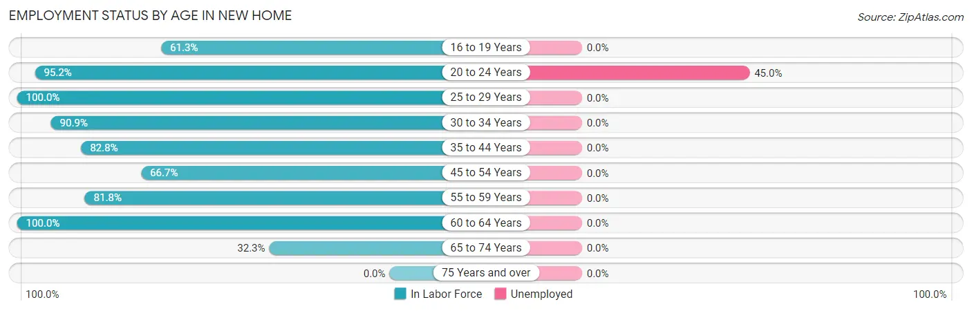 Employment Status by Age in New Home