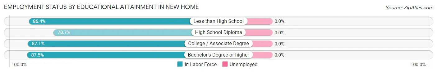 Employment Status by Educational Attainment in New Home