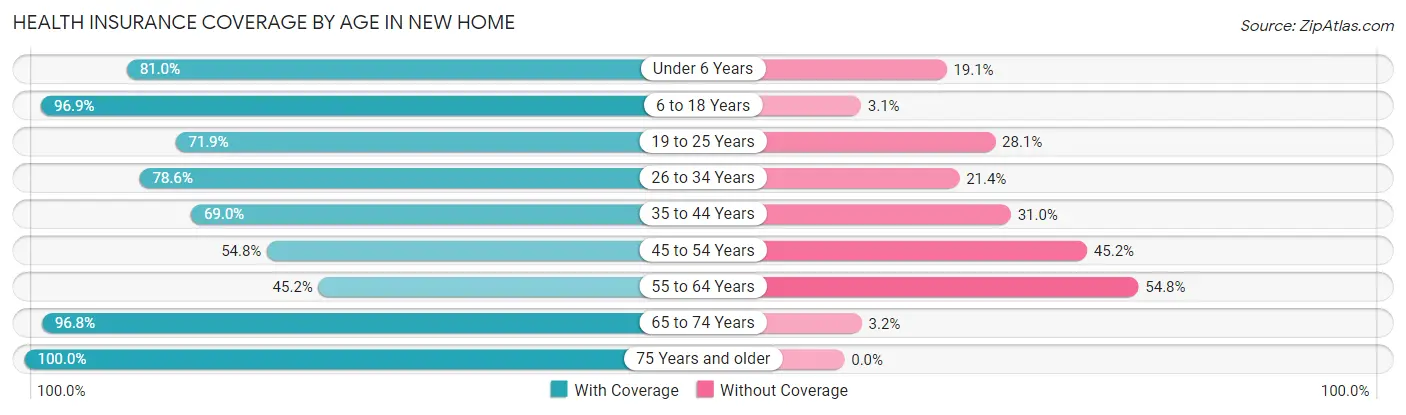 Health Insurance Coverage by Age in New Home