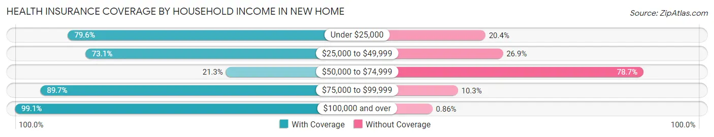 Health Insurance Coverage by Household Income in New Home