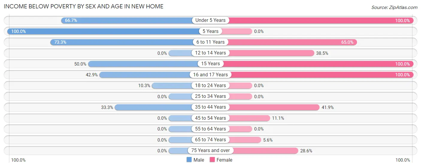Income Below Poverty by Sex and Age in New Home