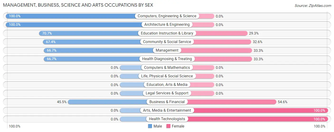 Management, Business, Science and Arts Occupations by Sex in New Home