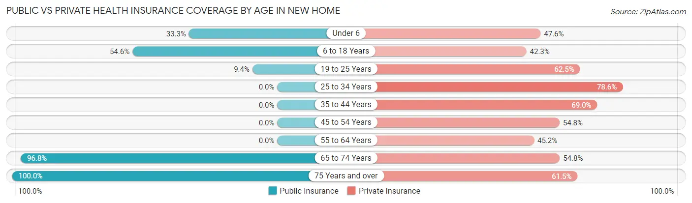 Public vs Private Health Insurance Coverage by Age in New Home