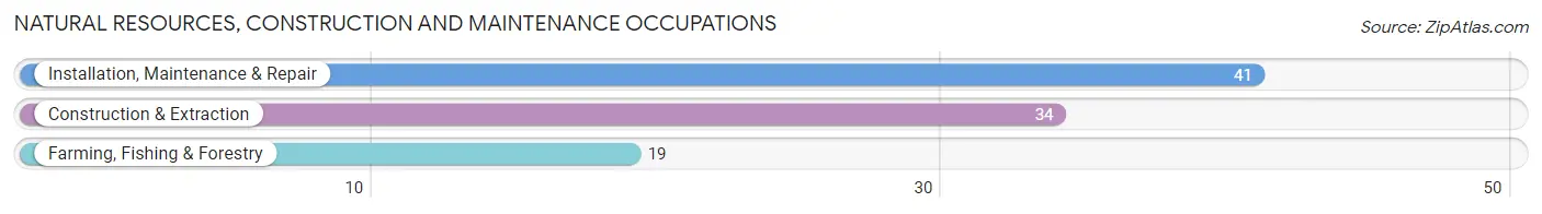 Natural Resources, Construction and Maintenance Occupations in New Hope