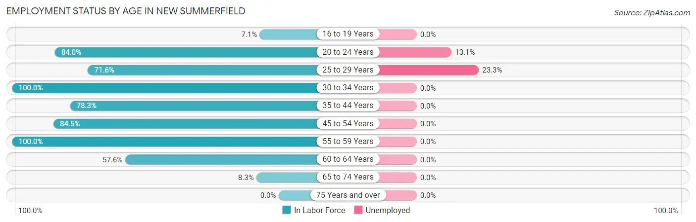 Employment Status by Age in New Summerfield
