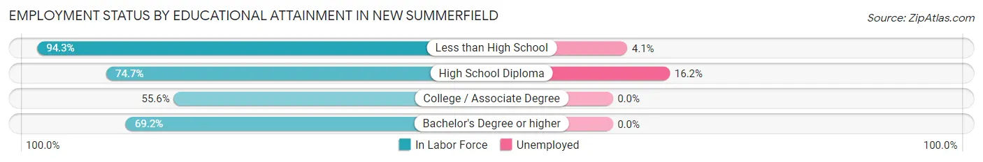 Employment Status by Educational Attainment in New Summerfield