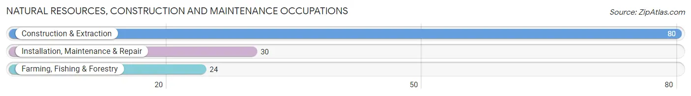 Natural Resources, Construction and Maintenance Occupations in Newton