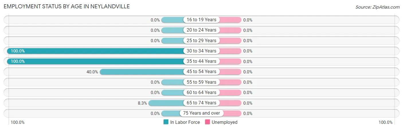 Employment Status by Age in Neylandville