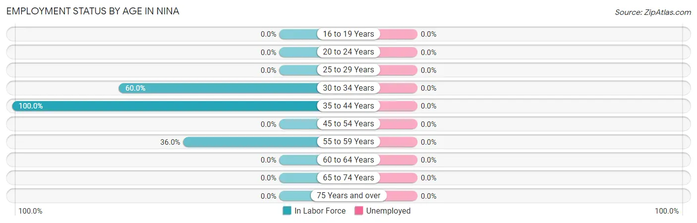 Employment Status by Age in Nina