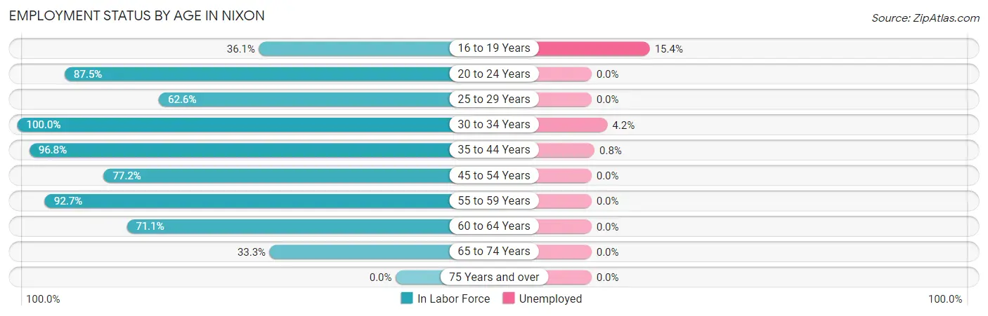 Employment Status by Age in Nixon