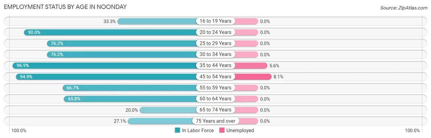 Employment Status by Age in Noonday