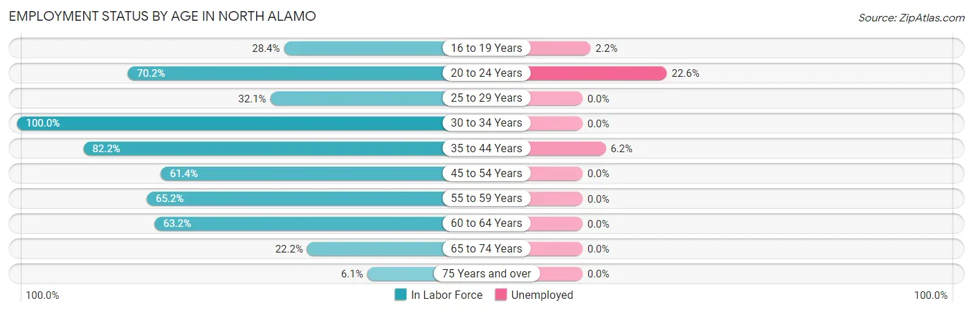 Employment Status by Age in North Alamo