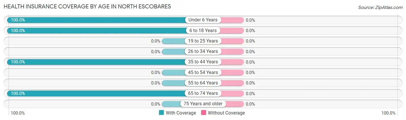 Health Insurance Coverage by Age in North Escobares