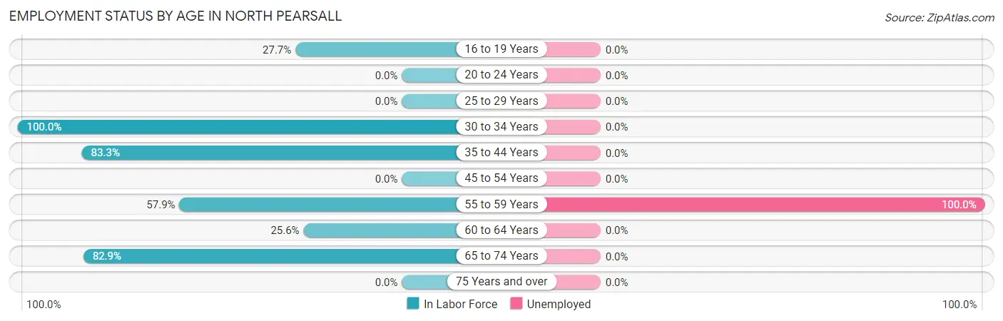 Employment Status by Age in North Pearsall
