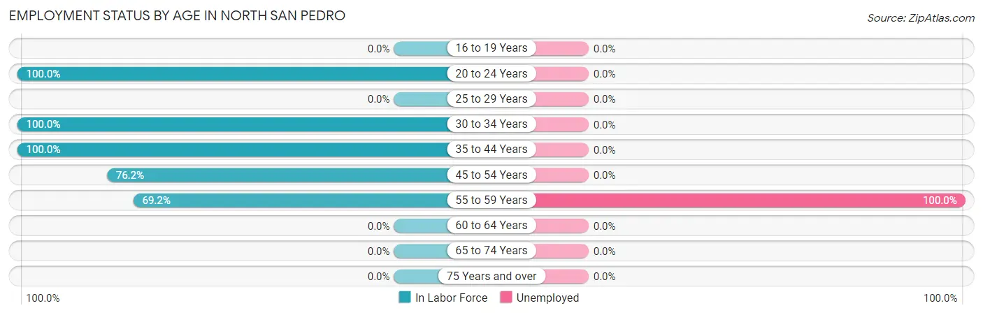 Employment Status by Age in North San Pedro