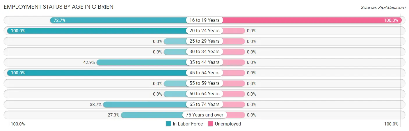 Employment Status by Age in O Brien