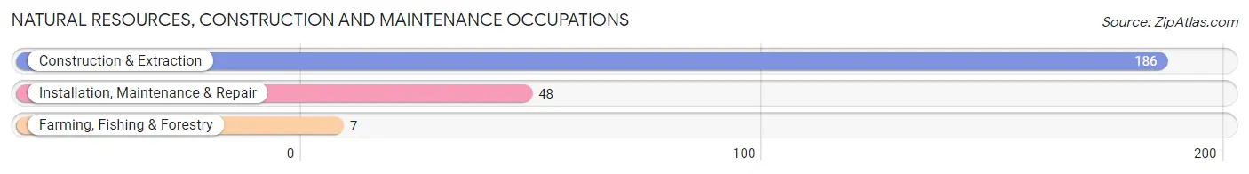 Natural Resources, Construction and Maintenance Occupations in Old River Winfree