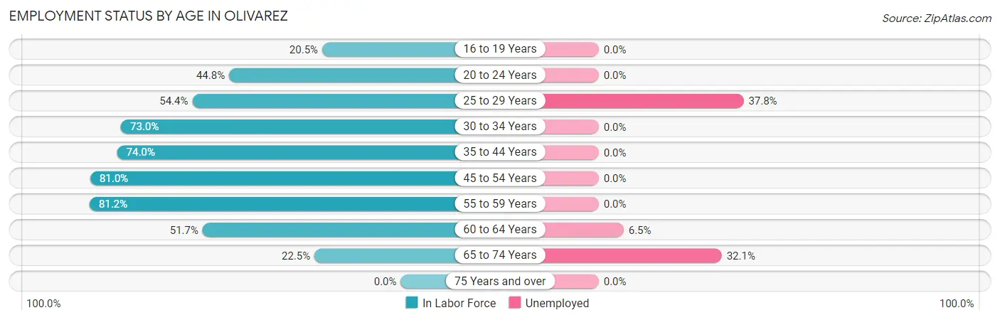 Employment Status by Age in Olivarez