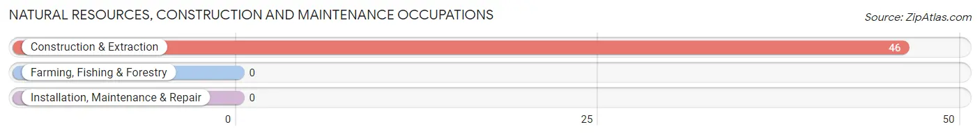 Natural Resources, Construction and Maintenance Occupations in Olmito and Olmito