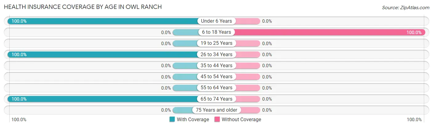 Health Insurance Coverage by Age in Owl Ranch
