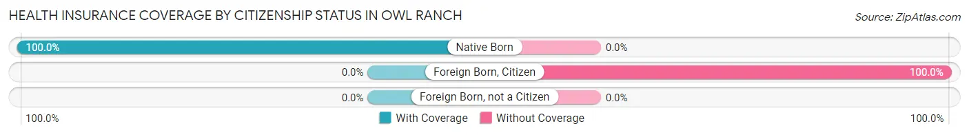 Health Insurance Coverage by Citizenship Status in Owl Ranch