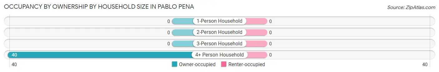 Occupancy by Ownership by Household Size in Pablo Pena