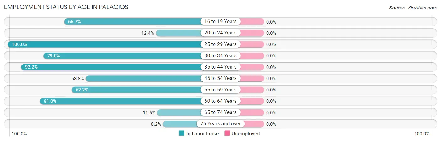Employment Status by Age in Palacios