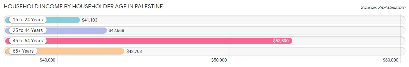 Household Income by Householder Age in Palestine